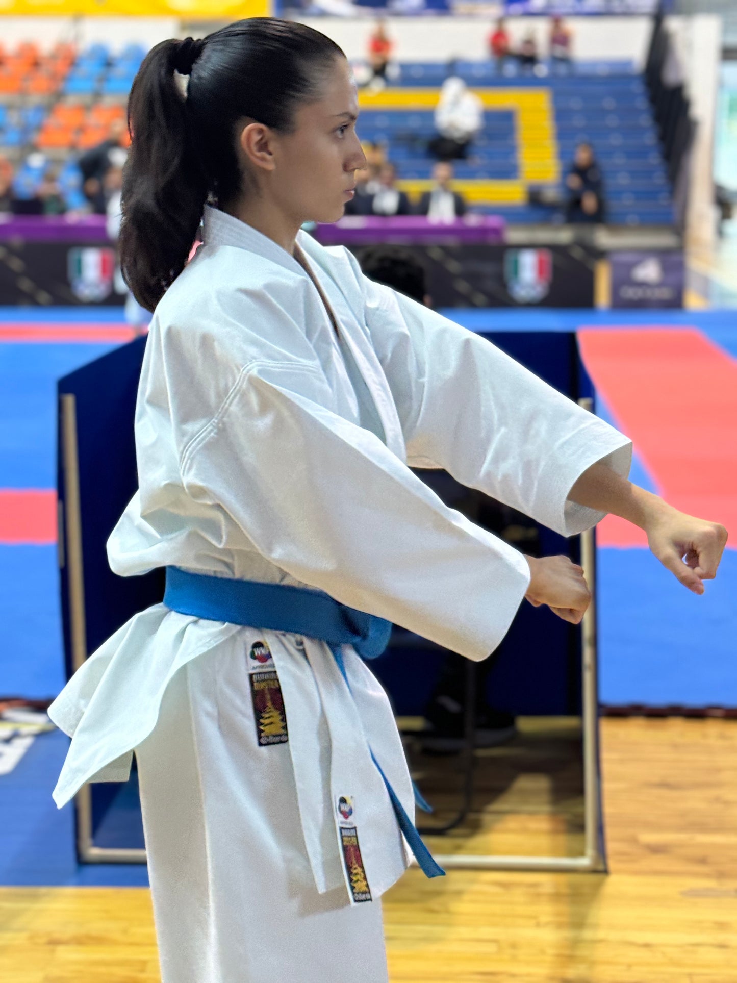 Karategi Bunkai Master Talla 4/170 Rayas Azules