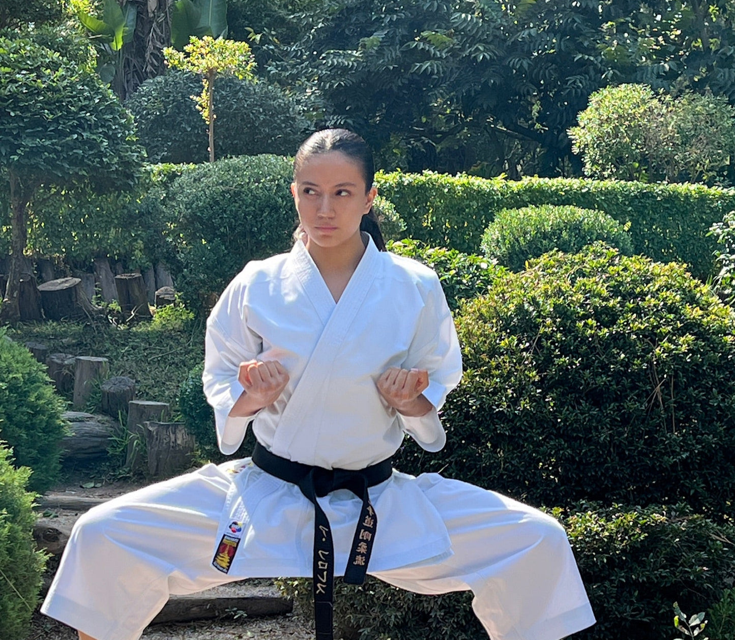 Karategi Bunkai Master Talla 4/170 Rayas Azules