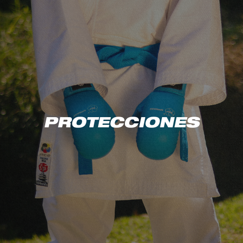 Protecciones